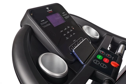 Беговая дорожка Titanium Physiotech TDM