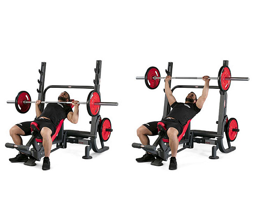 Купить Олимпийская наклонная скамья Panatta HP 1HP205B в Москве