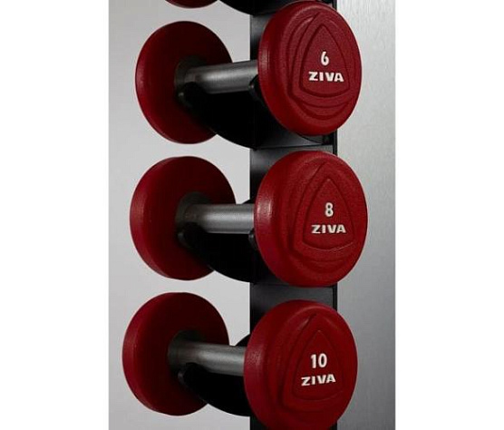 Гантели уретановые Ziva ZVO-DBPU-1303 2 кг (пара) фото1
