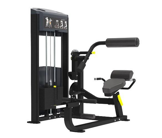 Пресс / разгибание спины Aerofit Impulse IF9334