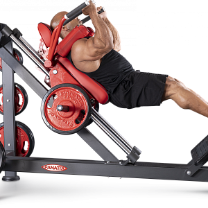 Купить Нагружаемый дисками тренажер Panatta FreeWeight Special 1FW087 в Москве
