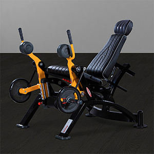 Купить Нагружаемый дисками тренажер Panatta Freeweight HP 1HP581 в Москве
