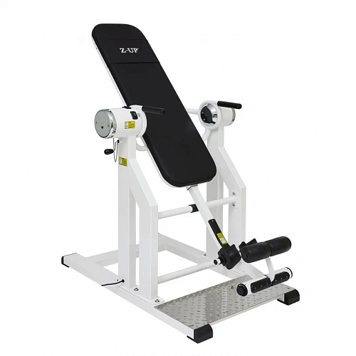 Инверсионный стол Z-Up 2S white Купить Инверсионный стол Z-Up 2S white в Москве