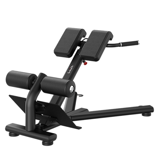 Smith Fitness Excellence Гиперэкстензия (разгибание спины) RE6010
