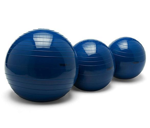 Купить Фитбол с водой Technogym Waterball в Москве