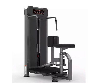 Торс-машина Realleader M3-1021 (косые мышцы живота)