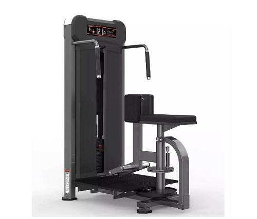 Купить Торс-машина Realleader M3-1021 (косые мышцы живота) в Москве