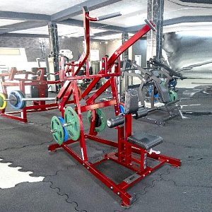 Купить Нагружаемый дисками тренажер Realleader RS-1015 (HS-1015) верхняя тяга на свободных весах в Москве
