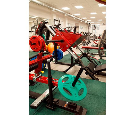 Жим ногами Aerofit Impulse SL7020 фото1