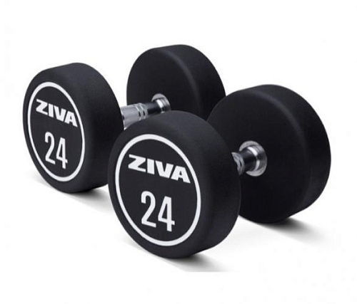 Купить Гантели уретановые Ziva ZXP-DBPU-8652-GYWT 46 кг (пара) в Москве