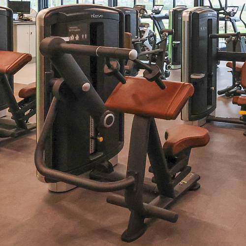 Трицепс-машина (Разгибание рук) INTENZA DL-11