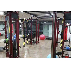 Купить Многофункциональный комплекс Pangolin Fitness SYNERGY 360XS станция для функционального кругового тренинга в Москве
