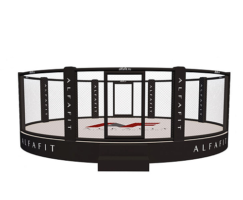 Купить MMA Арена тренировочная AlfaFit на помосте высотой 0,5 м в Москве