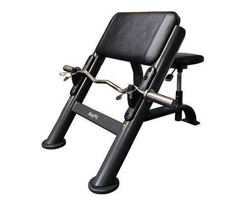 Скамья Скотта Anyfit PEB109