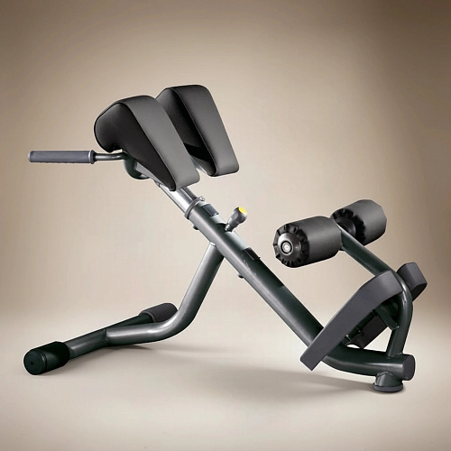 Гиперэкстензия Technogym Lower Back Bench