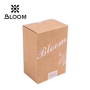 Купить Bloom Мяч для йоги 65 см (анти-разрывной коричневый) LB7051-2 в Москве
