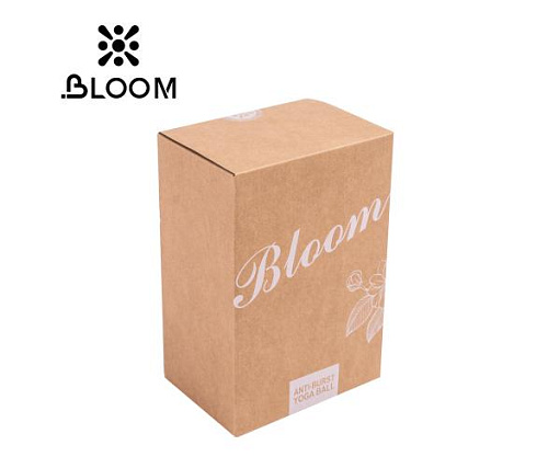 Мяч для йоги Bloom LB7051/65/BN 65 см коричневый