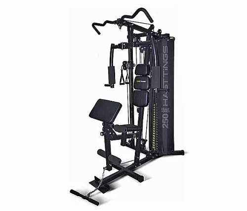 Купить Мультистанция Hasttings HastPower 250 в Москве