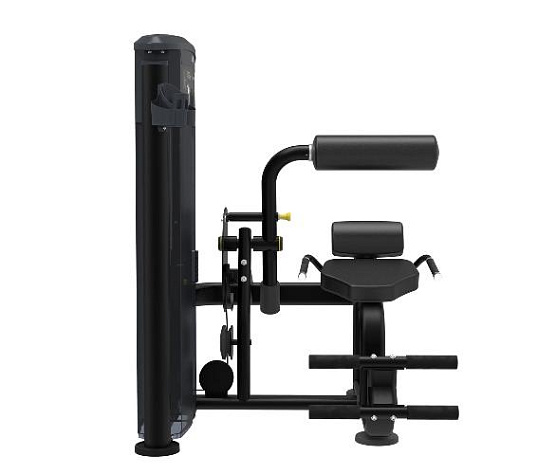 Разгибание спины Aerofit Impulse IT9532 фото2