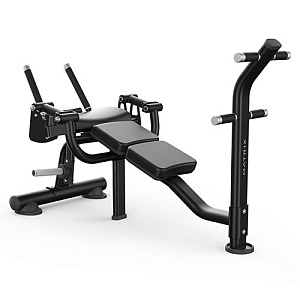 Купить Нагружаемый дисками тренажер Matrix Fitness MAGNUM MG-PL50 Скамья для скручиваний в Москве