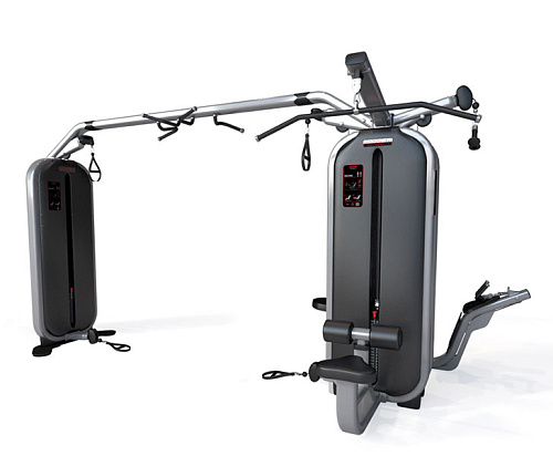 Мультистанция Jungle Gym + Кроссовер Panatta Monolith 1MTH115–1MTH116 Купить Мультистанция Jungle Gym + Кроссовер Panatta Monolith 1MTH115–1MTH116 в Москве