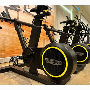 Купить Technogym Skillbike small console в Москве