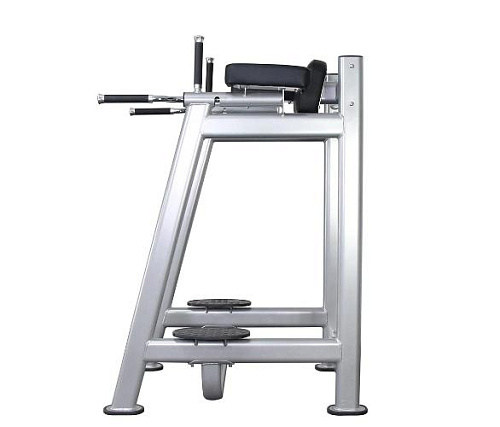 Брусья / пресс Protrain 61A45