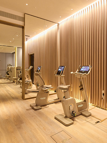 Горизонтальный велотренажер Technogym Artis Luxury Recline