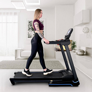 Купить Беговая дорожка Everyfit 74203B в Москве