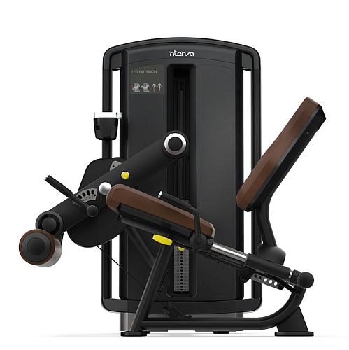 Разгибание ног INTENZA DL-09