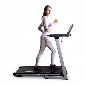 Купить Беговая дорожка Everyfit 74209 в Москве