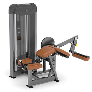 Купить Силовой тренажер Anyfit Сгибание ног PE203-66 в Москве