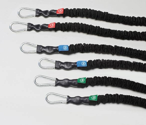 Купить Тросы эластичные Technogym в Москве