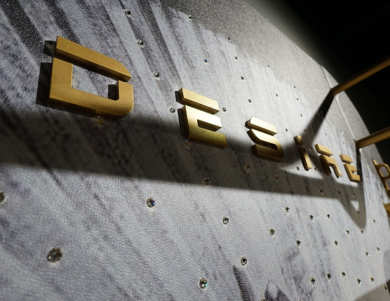 Многофункциональный комплекс с изображением и кристаллами Swarovski Desire Prime Print Custom фото2