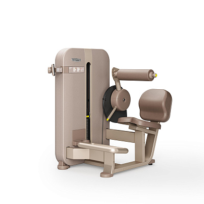 Гиперэкстензия Technogym Artis Luxury Lower Back
