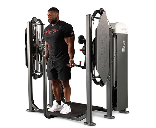 Независимый бицепс/трицепс стоя Panatta Fit Evo 1FE155