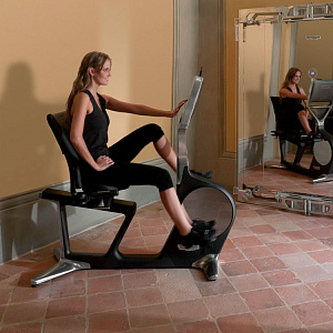 Купить Горизонтальный тренажер Technogym Recline Personal в Москве