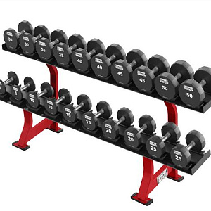 Стойка для гантелей 2-ярусная Life Fitness Купить Стойка для гантелей 2-ярусная Life Fitness в Москве