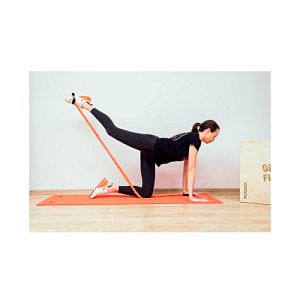 Купить Original FitTools Эспандер 120 см в защитном кожухе HEAVY в Москве