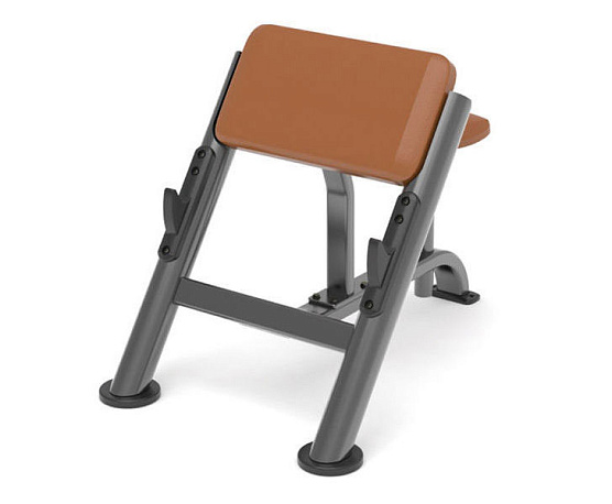 Силовой тренажер Anyfit Скамья Скотта PEB109