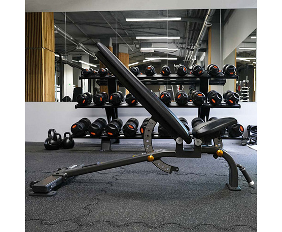 Скамья многофункциональная регулируемая Anyfit PEB104 фото3