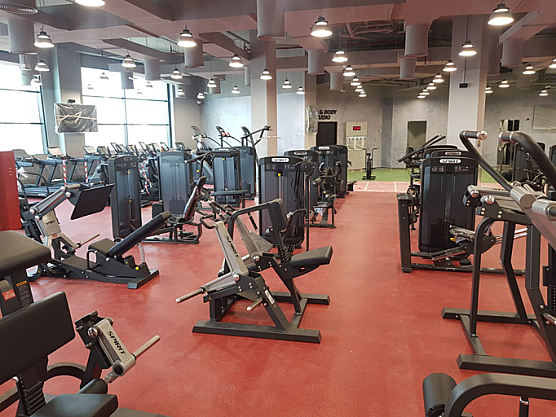 Жим ногами Spirit Fitness SP-3509 стек 167 кг фото2