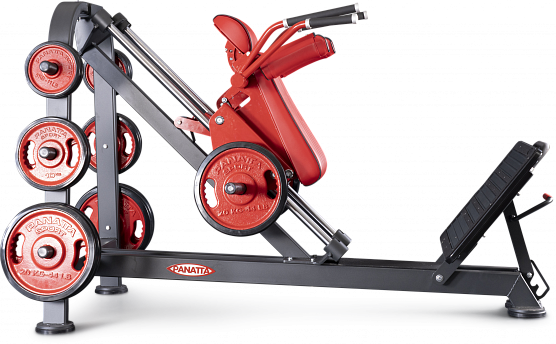 Нагружаемый дисками тренажер Panatta FreeWeight Special 1FW087
