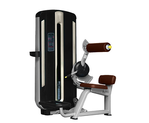 Купить Разгибание спины Bronze Gym MNM-009 в Москве