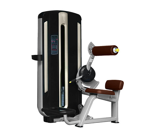 Силовой тренажер Bronze Gym MNM-009 Разгибание спины