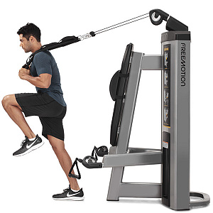 Купить Грузоблочный тренажер Freemotion Fitness Genesis™ DS GD501 Пресс и бицепс в Москве