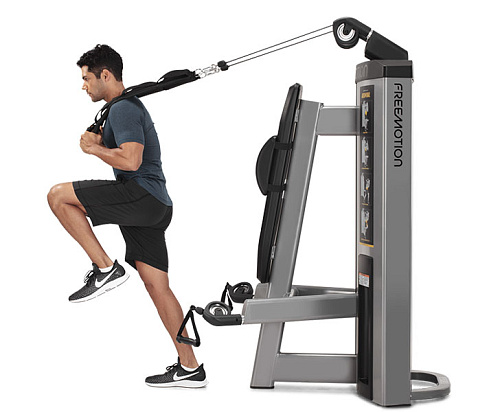 Пресс / бицепс Freemotion Fitness Genesis DS GD501