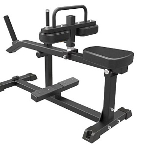 Купить Нагружаемый дисками тренажер Aerofit Impulse IFP1623 Икроножные сидя в Москве