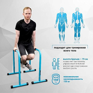 Купить Livepro Брусья тренировочные высокие LP8161 в Москве
