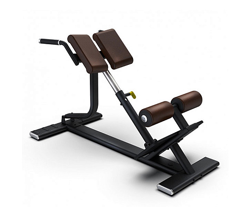 Купить Гиперэкстензия 45° Intenza SBR-04 в Москве